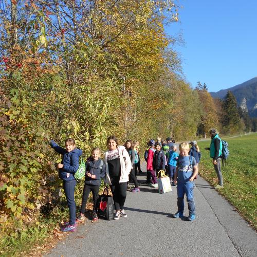 20181017 Natopia Herbst