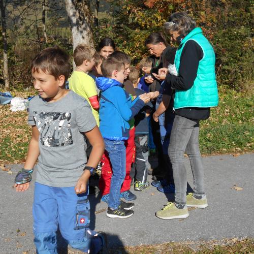 20181017 Natopia Herbst