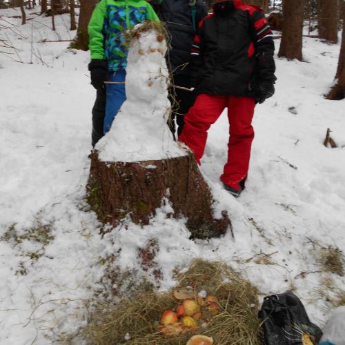 Waldweihnacht 21.12.2018