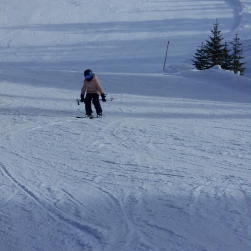 Skikurs 14.-18.1.2019
