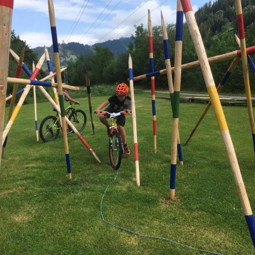 Radworkshop Bikeschule Alpstern 2.7.2019